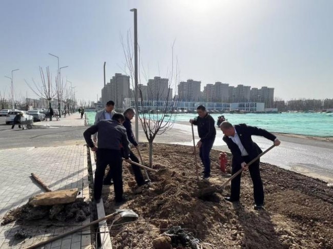 1742887934515065174.jpg 圖片2.jpg